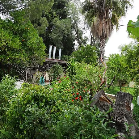 Ξενοδοχείο Longhouse 2*